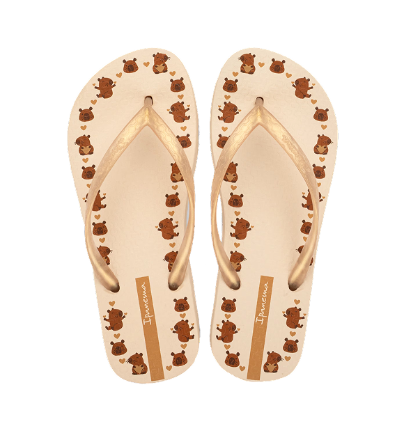 CHINELO IPANEMA DAY ORIGINAL GRENDENE ESTAMPADO CONFORTÁVEL