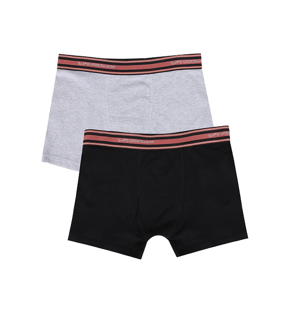 KIT CUECA BOXER LUPO INF. C/2